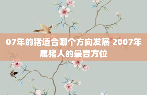 07年的猪适合哪个方向发展 2007年属猪人的最吉方位