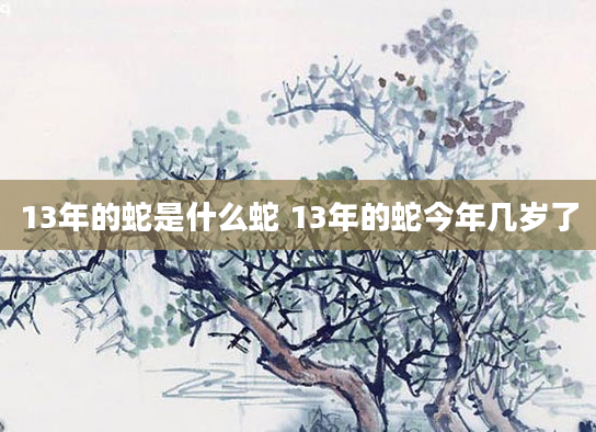 13年的蛇是什么蛇 13年的蛇今年几岁了