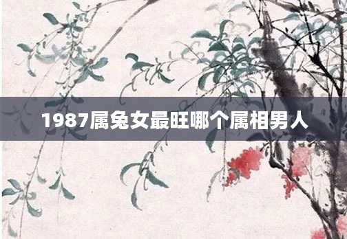 1987属兔女最旺哪个属相男人