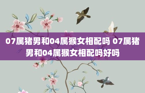 07属猪男和04属猴女相配吗 07属猪男和04属猴女相配吗好吗