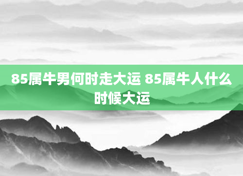 85属牛男何时走大运 85属牛人什么时候大运