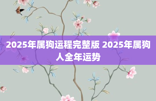 2025年属狗运程完整版 2025年属狗人全年运势