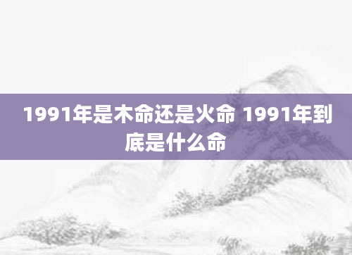 1991年是木命还是火命 1991年到底是什么命