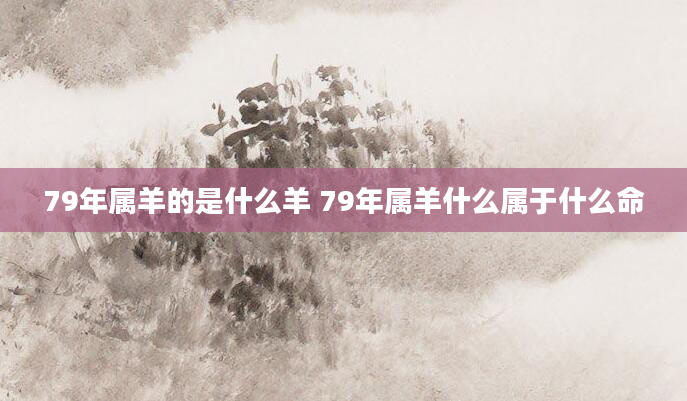 79年属羊的是什么羊 79年属羊什么属于什么命