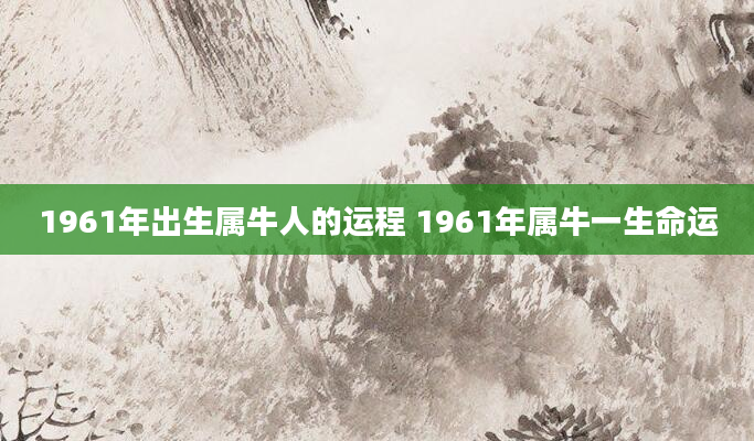 1961年出生属牛人的运程 1961年属牛一生命运