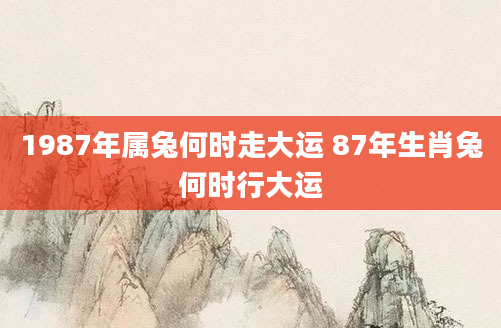 1987年属兔何时走大运 87年生肖兔何时行大运