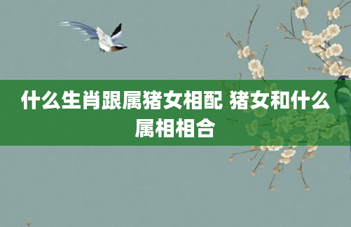 什么生肖跟属猪女相配 猪女和什么属相相合