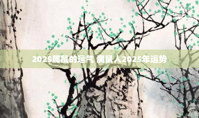 2025属鼠的运气 属鼠人2025年运势