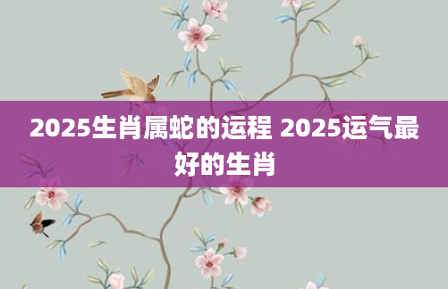 2025生肖属蛇的运程 2025运气最好的生肖