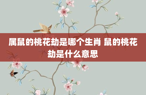 属鼠的桃花劫是哪个生肖 鼠的桃花劫是什么意思