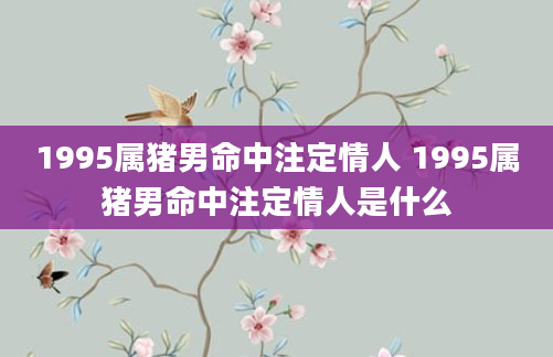 1995属猪男命中注定情人 1995属猪男命中注定情人是什么