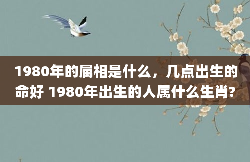 1980年的属相是什么，几点出生的命好 1980年出生的人属什么生肖?