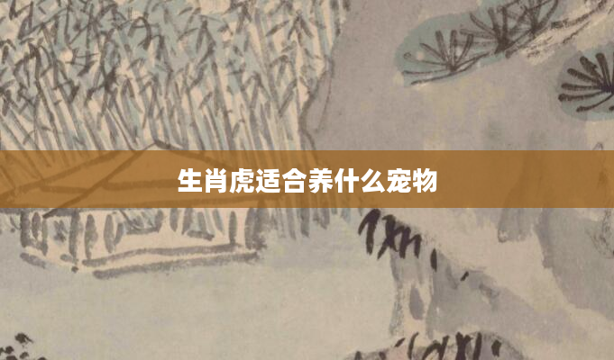 生肖虎适合养什么宠物