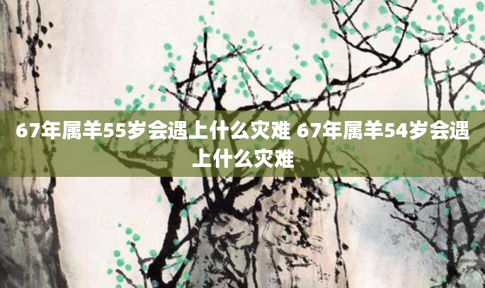 67年属羊55岁会遇上什么灾难 67年属羊54岁会遇上什么灾难