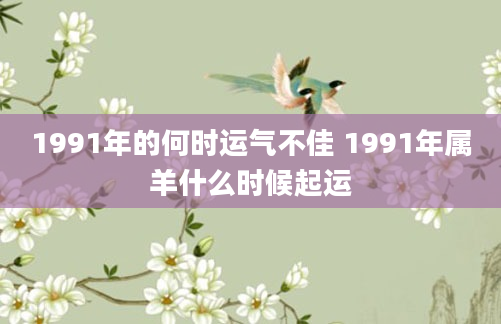 1991年的何时运气不佳 1991年属羊什么时候起运