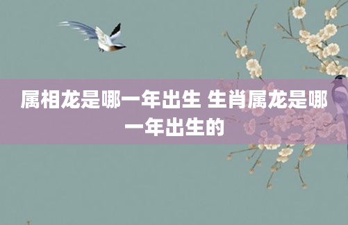 属相龙是哪一年出生 生肖属龙是哪一年出生的