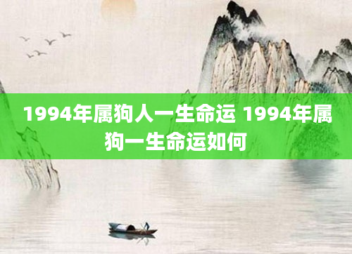 1994年属狗人一生命运 1994年属狗一生命运如何