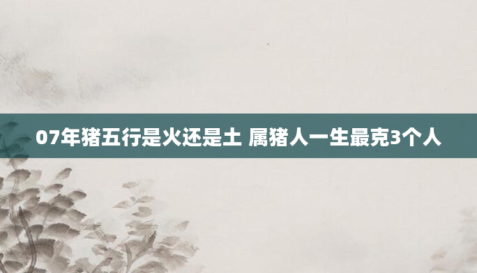07年猪五行是火还是土 属猪人一生最克3个人