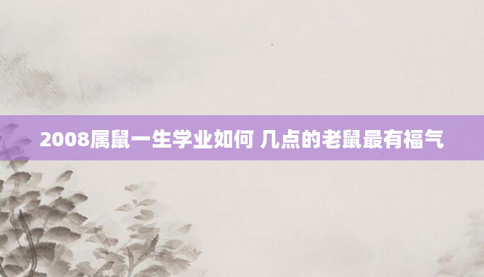 2008属鼠一生学业如何 几点的老鼠最有福气