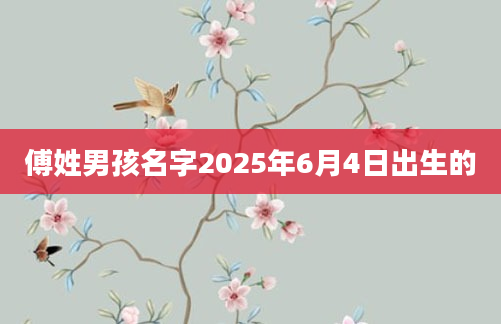 傅姓男孩名字2025年6月4日出生的