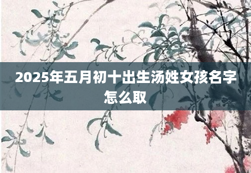 2025年五月初十出生汤姓女孩名字怎么取
