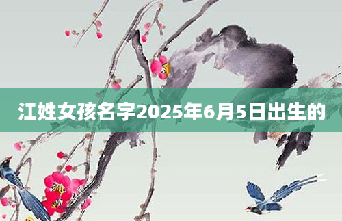 江姓女孩名字2025年6月5日出生的