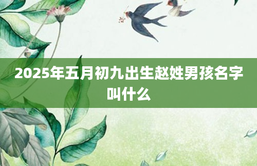 2025年五月初九出生赵姓男孩名字叫什么