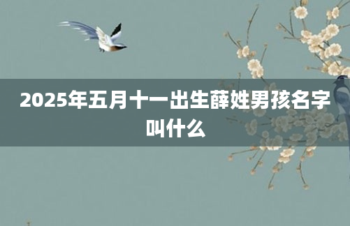 2025年五月十一出生薛姓男孩名字叫什么
