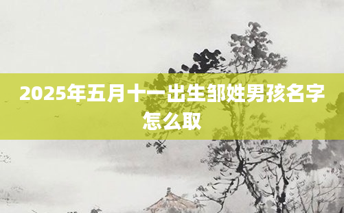 2025年五月十一出生邹姓男孩名字怎么取