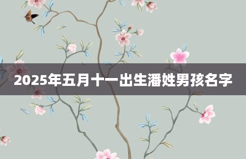 2025年五月十一出生潘姓男孩名字