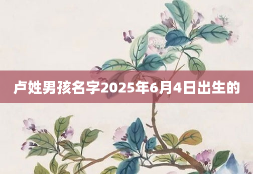 卢姓男孩名字2025年6月4日出生的