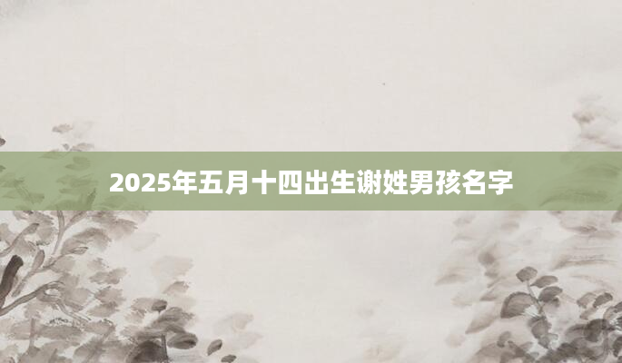 2025年五月十四出生谢姓男孩名字