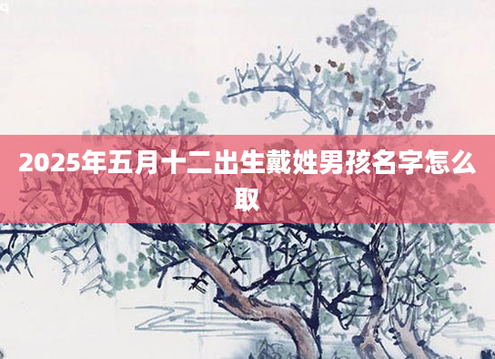 2025年五月十二出生戴姓男孩名字怎么取