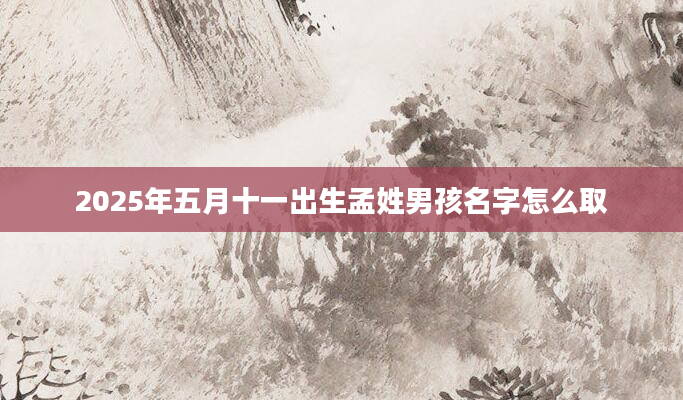 2025年五月十一出生孟姓男孩名字怎么取