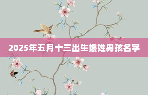 2025年五月十三出生熊姓男孩名字