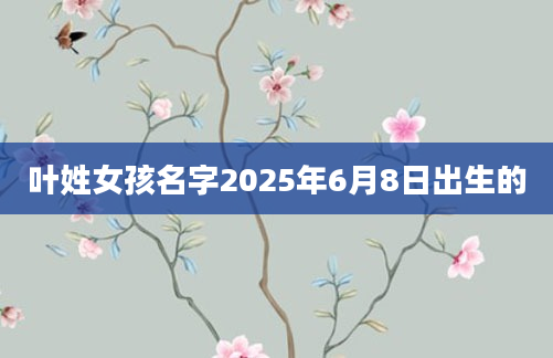 叶姓女孩名字2025年6月8日出生的