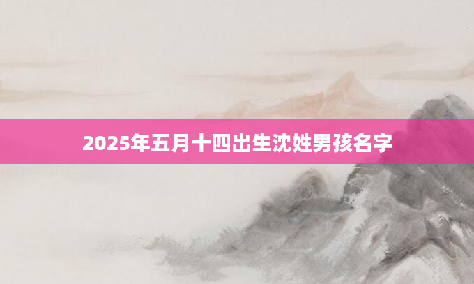 2025年五月十四出生沈姓男孩名字