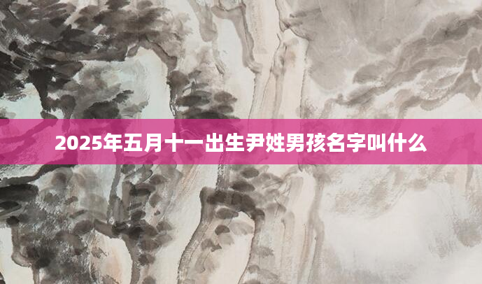 2025年五月十一出生尹姓男孩名字叫什么
