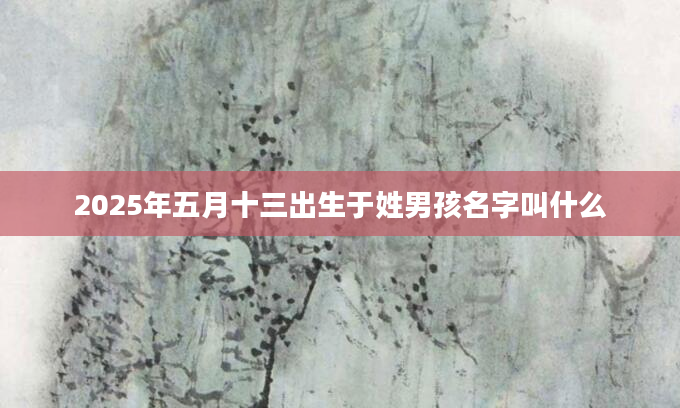 2025年五月十三出生于姓男孩名字叫什么