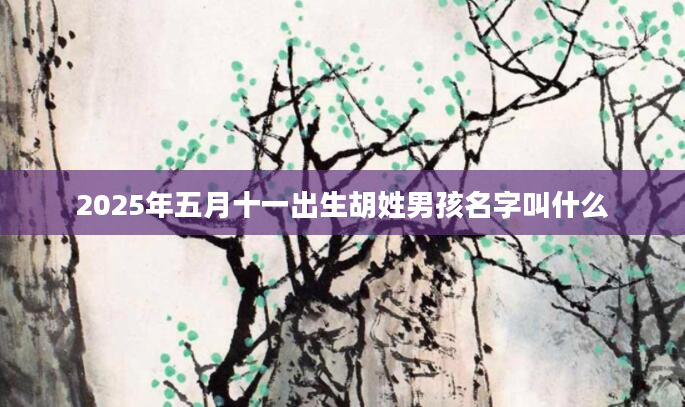2025年五月十一出生胡姓男孩名字叫什么