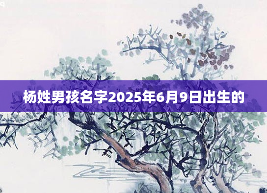 杨姓男孩名字2025年6月9日出生的