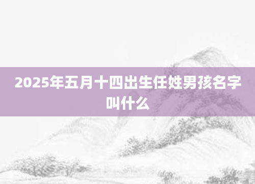 2025年五月十四出生任姓男孩名字叫什么
