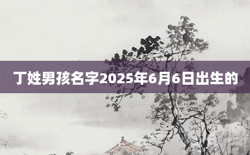丁姓男孩名字2025年6月6日出生的