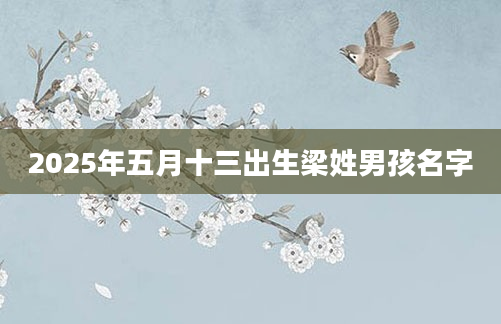 2025年五月十三出生梁姓男孩名字
