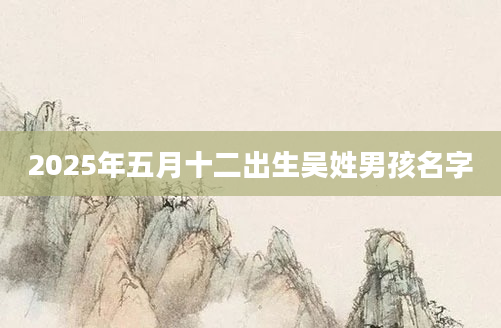 2025年五月十二出生吴姓男孩名字