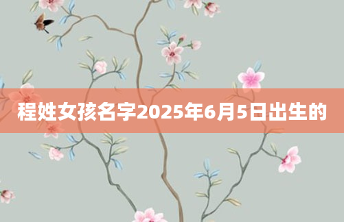 程姓女孩名字2025年6月5日出生的
