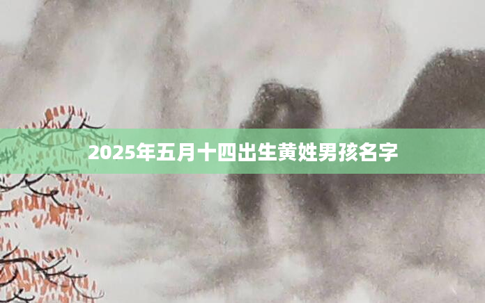 2025年五月十四出生黄姓男孩名字