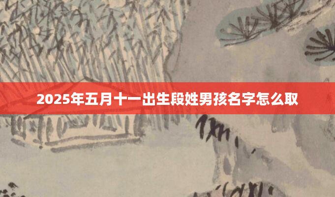 2025年五月十一出生段姓男孩名字怎么取