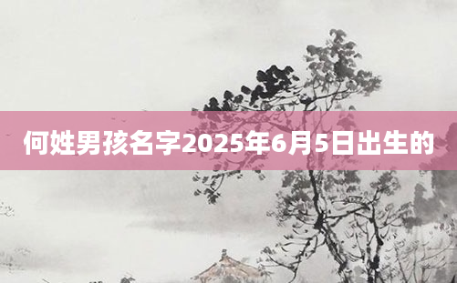 何姓男孩名字2025年6月5日出生的