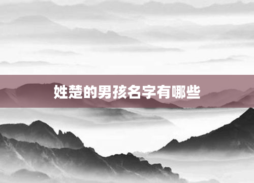 姓楚的男孩名字有哪些